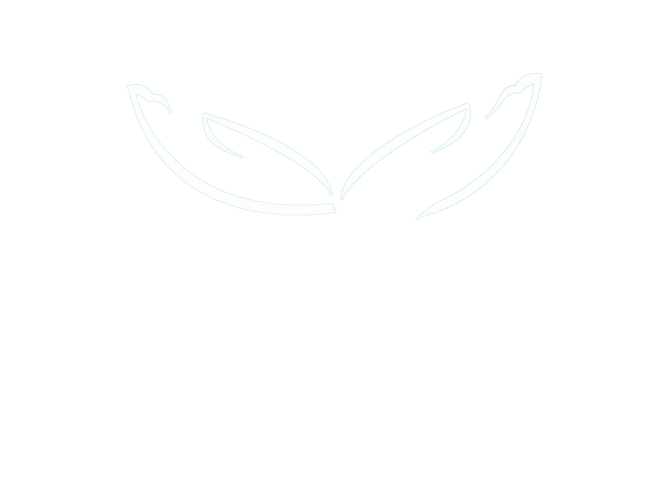 Physical Care Center Logo